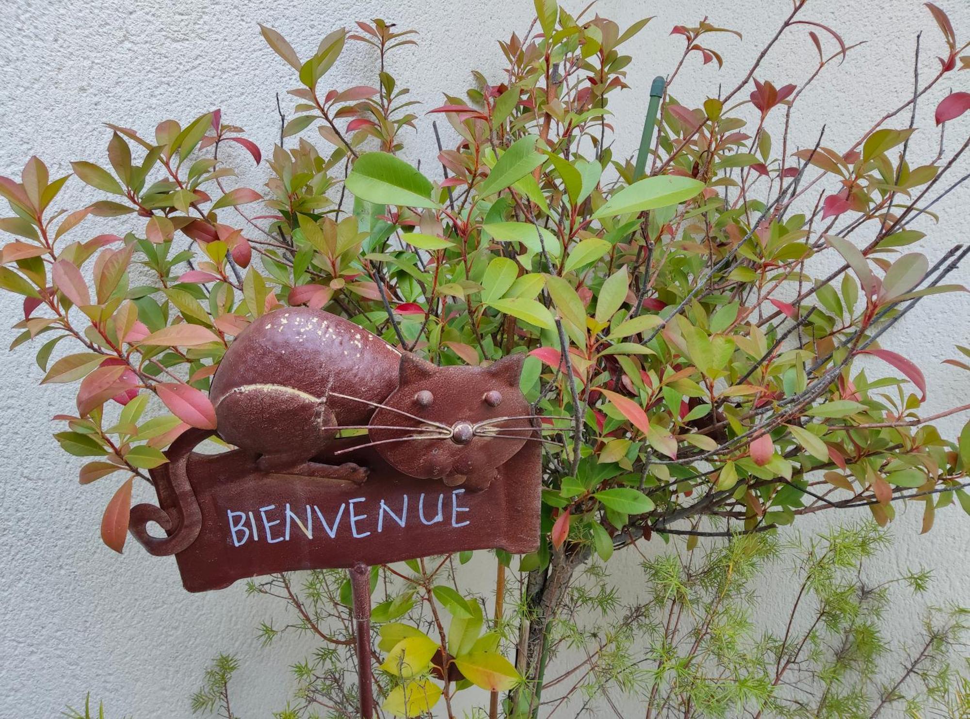 Du Cote De Chez Paule, Chambre Avec Entree Independante Et Salle D'Eau Privative Semeac Luaran gambar